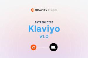 Gravity Forms Klaviyo Add-On